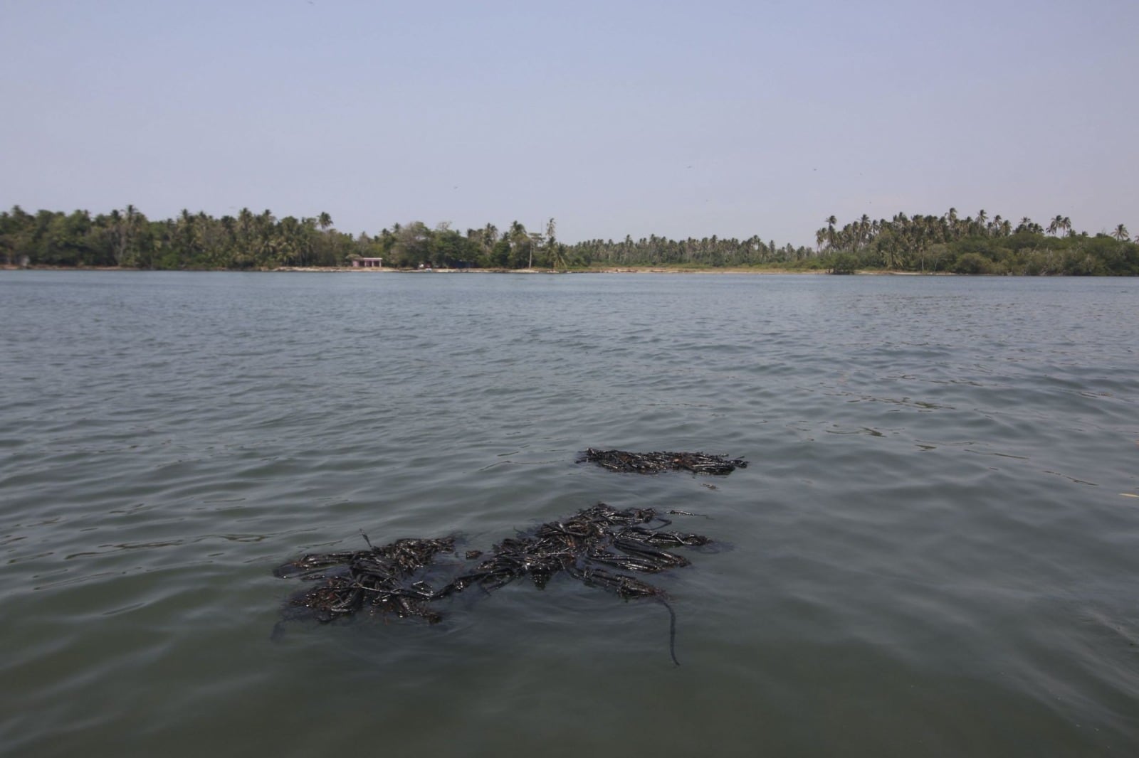 Pemex ofrece combustible por un año a pescadores afectados por derrame de crudo en Paraíso, Tabasco