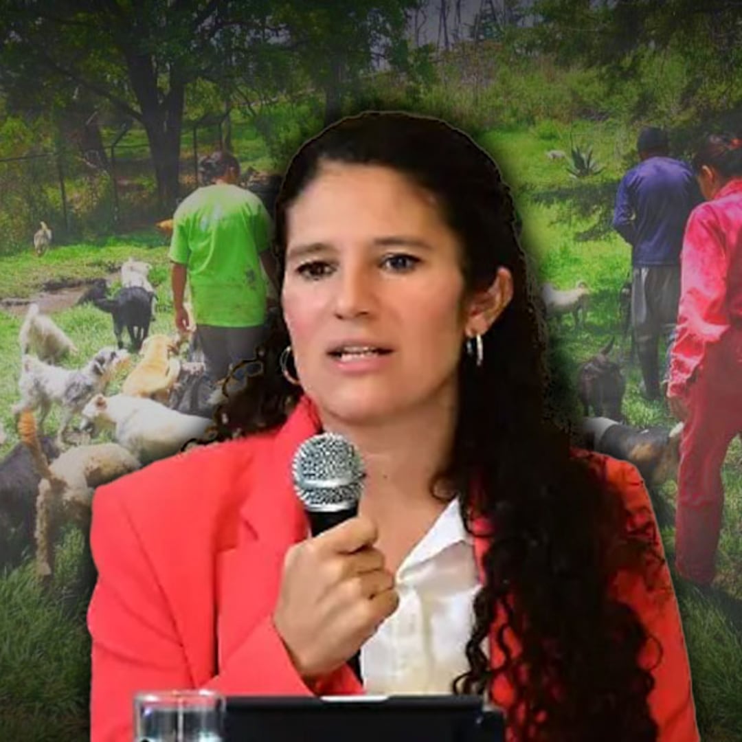 Bertha Alcalde afirma que existía maltrato animal en el Refugio Franciscano