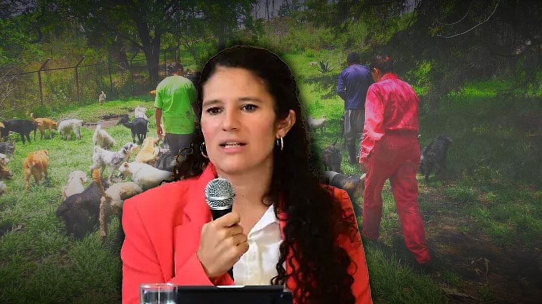 Bertha Alcalde afirma que existía maltrato animal en el Refugio Franciscano