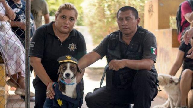 Chilaquil entrena para ingresar a la policía de Conkal.