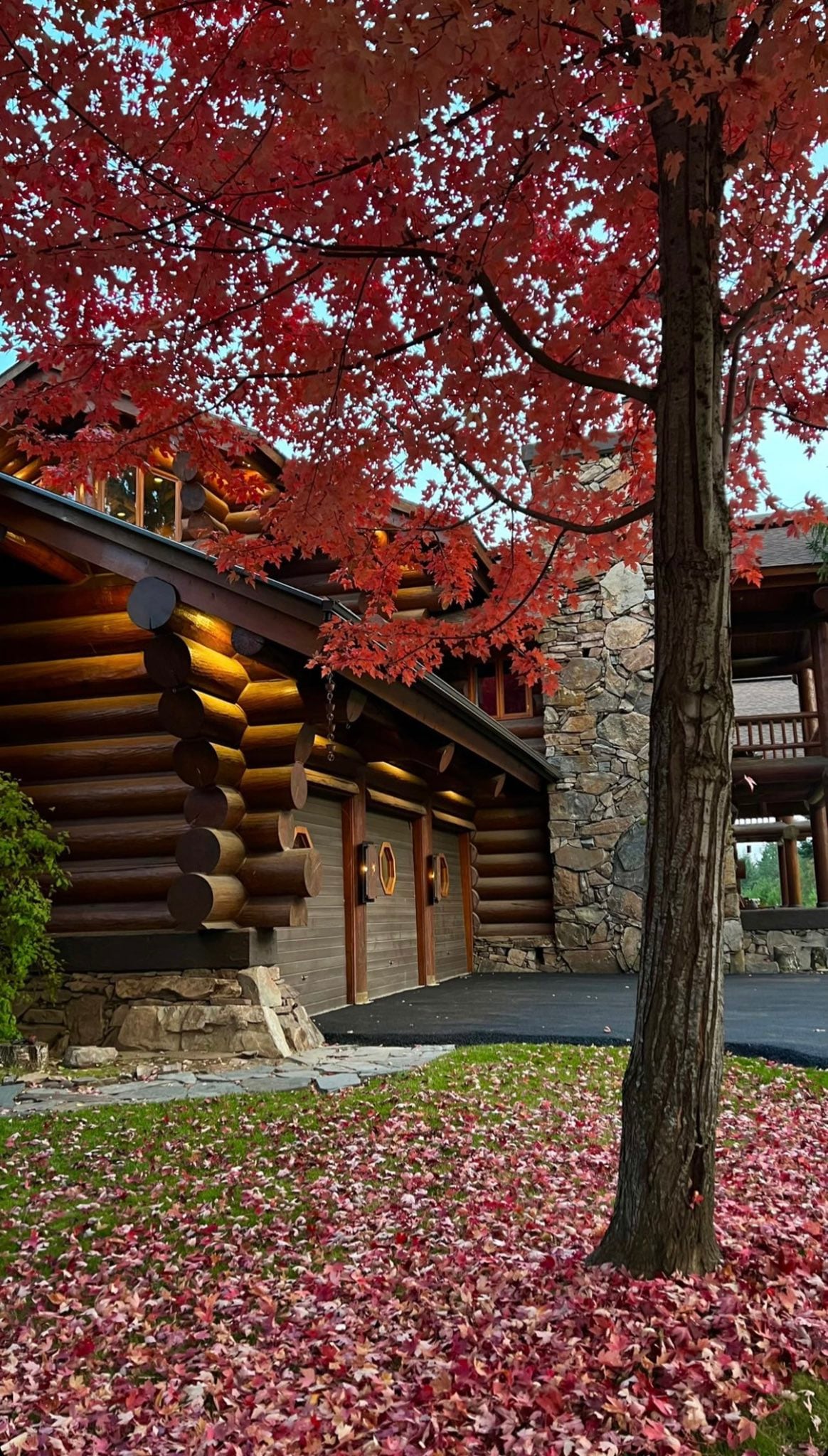 ¿Dónde vive Elán? La influencer que se hizo famosa por sus consejos