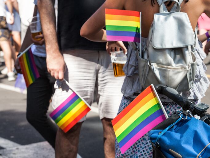 Banderas de la comunidad LGBT