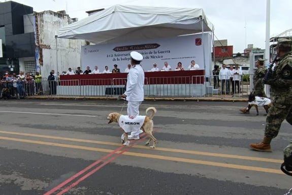 Perrito Nerón