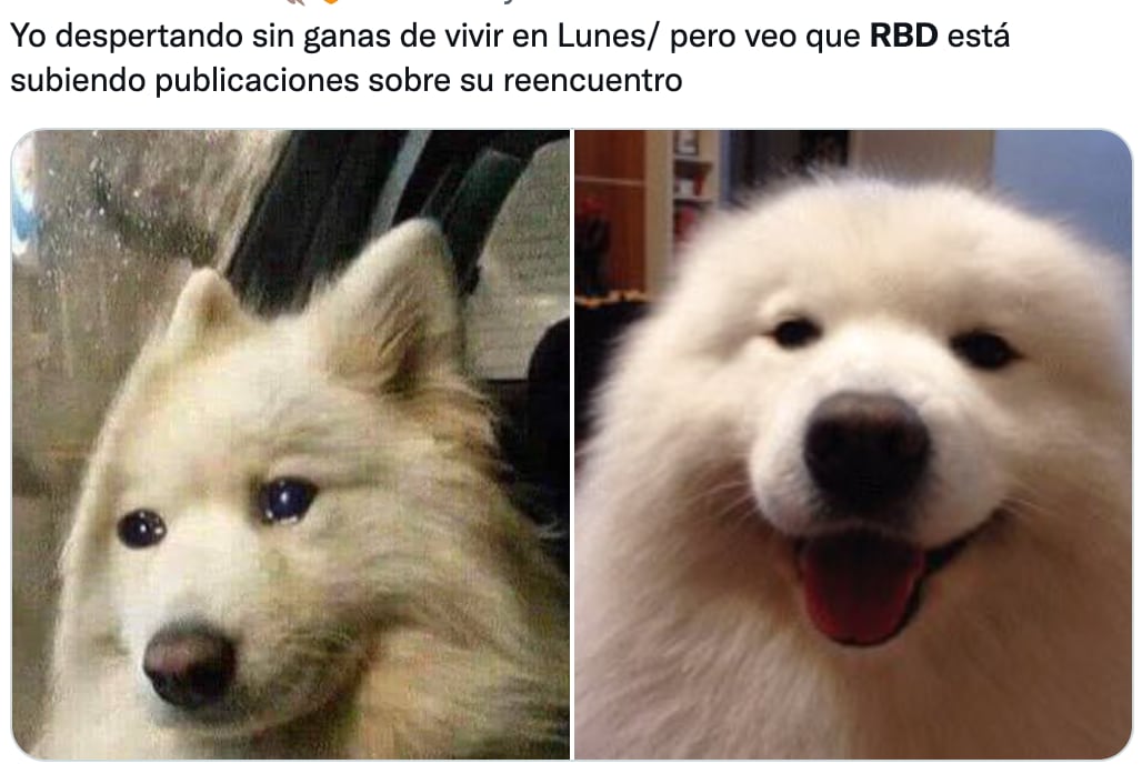Los memes de la gira de RBD 2023 inundan las redes