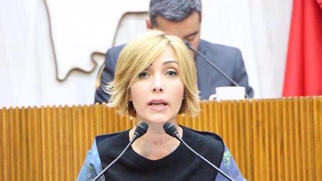 La diputada local Claudia Tapia.