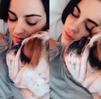 Maite Perroni llora muerte de Sancho, su perro