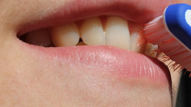 Un cepillo de dientes tienen tantas bacterias como un escusado: especialista