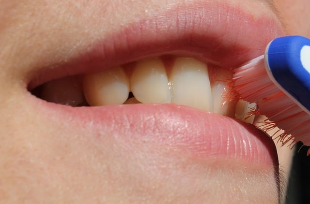 Un cepillo de dientes tienen tantas bacterias como un escusado: especialista