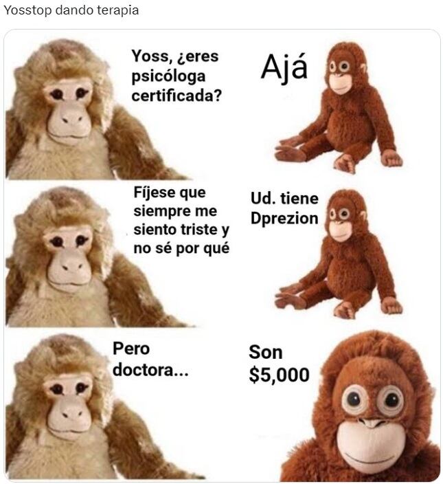 Yoss Hoffman ejerciendo la psicología sin licencia dejó estos divertidos memes