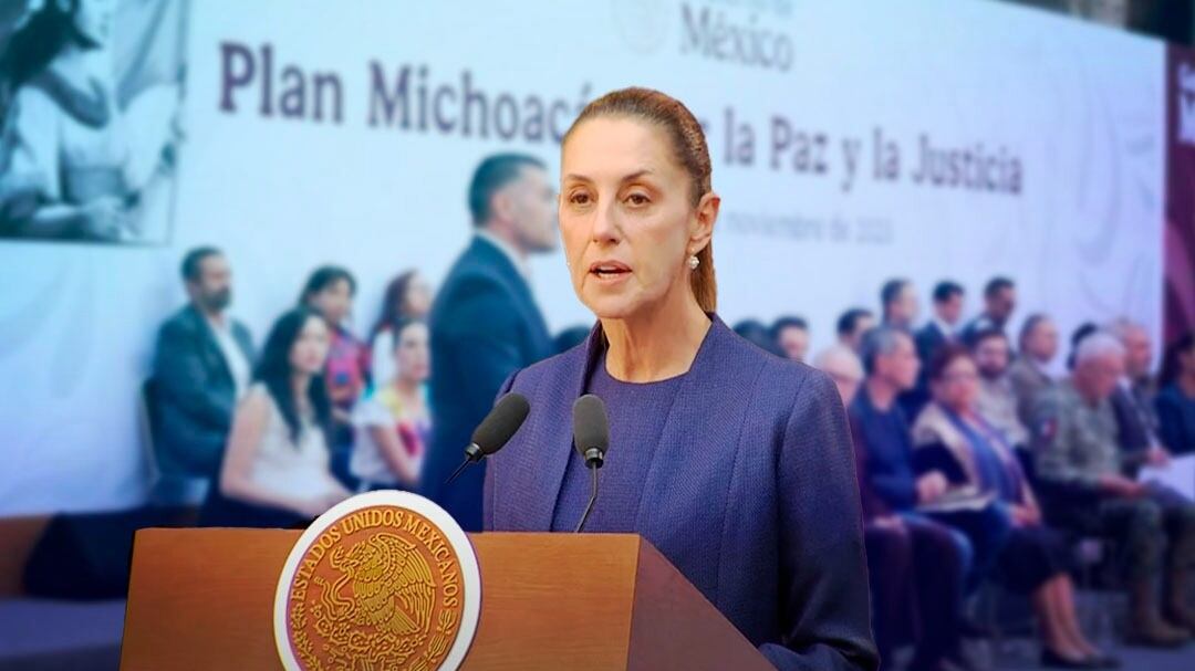 Efectos del Plan Michoacán