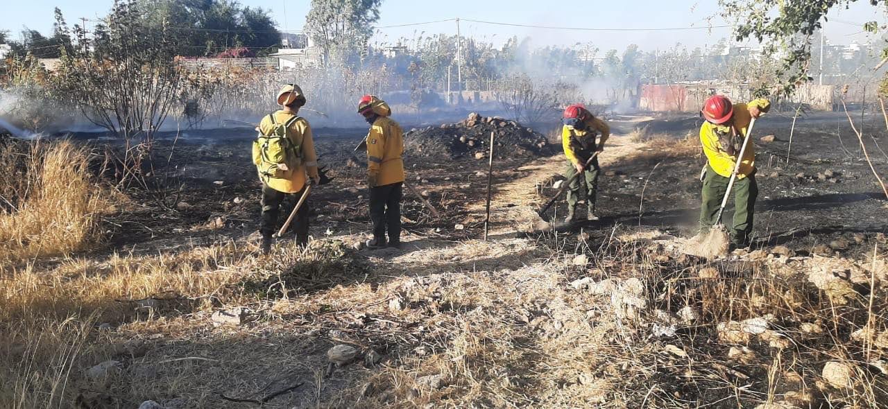 Bomberos combatiendo incendio en el Bosque de la Primavera.