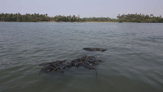 Tabasco presenta denuncia ante la ASEA por derrame de petróleo