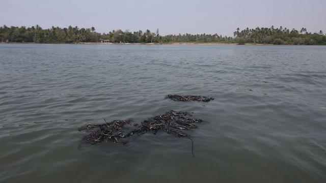 Costa de Paraíso reporta derrame de petróleo.