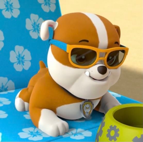 Imágenes que demuestran que raza es Rubble de Paw Patrol