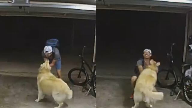 El video de un ladrón con un perro, se hace viral