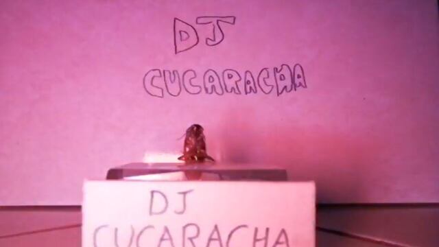 DJ Cucaracha