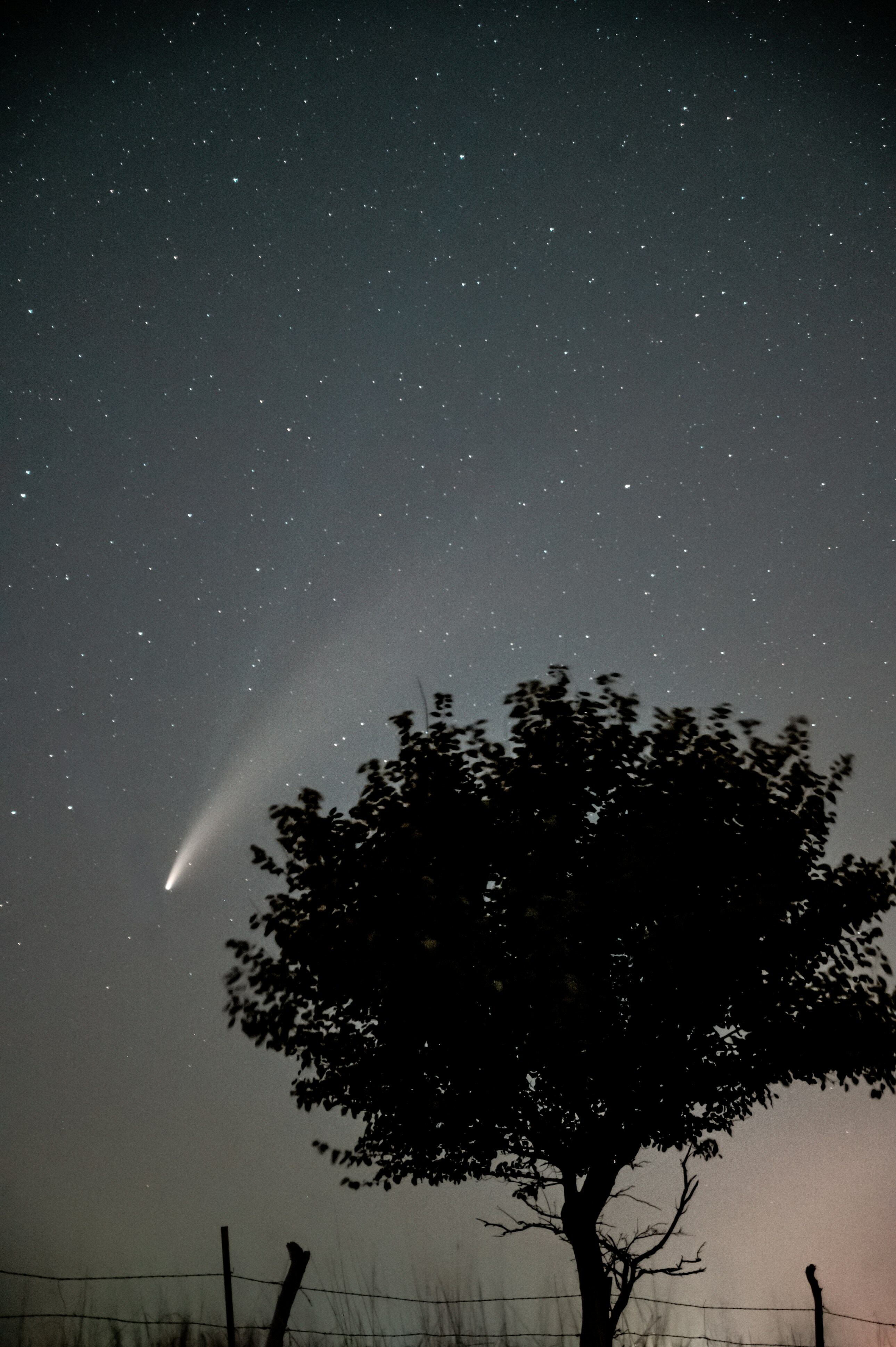 Cometa