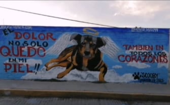 Mural de Scooby, el perrito de Tecámac