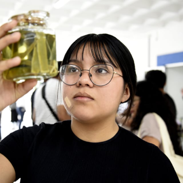 BUAP realiza el Primer Concurso de Sostenibilidad Textil en la Facultad de Ingeniería