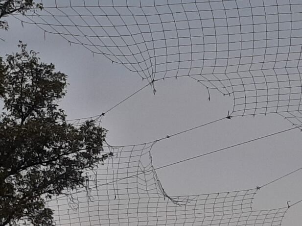 Caso Sportium Desierto de los Leones