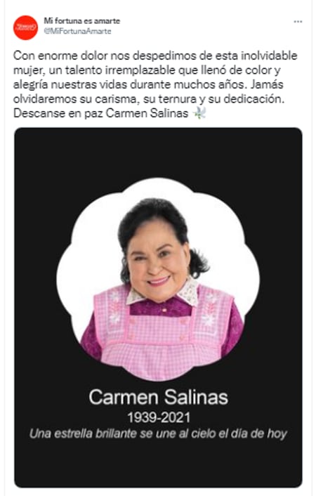 Carmen Salinas, Mi Fortuna es Amarte
