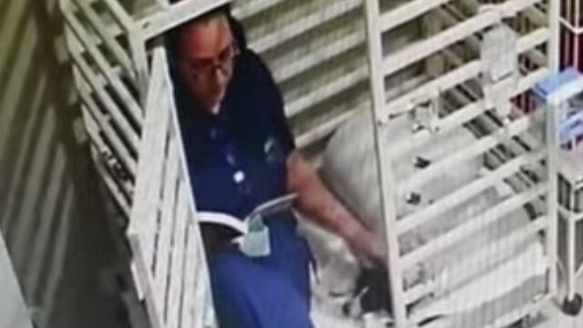 Veterinaria lee cuento