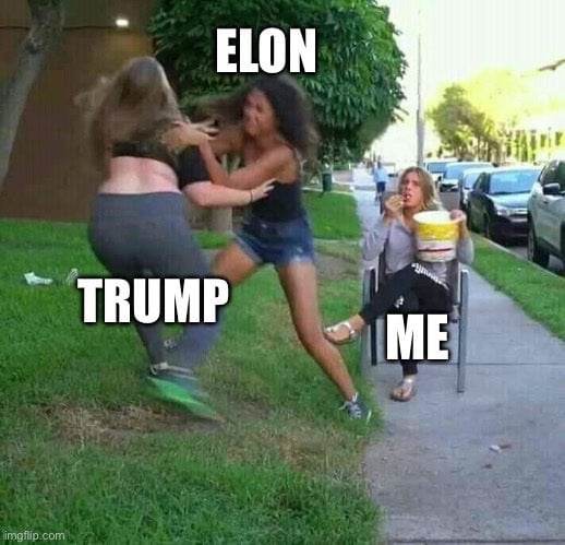 Memes de la pelea entre Elon Musk y Donald Trump