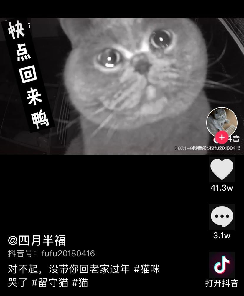Gatito 'Fufu' llorando