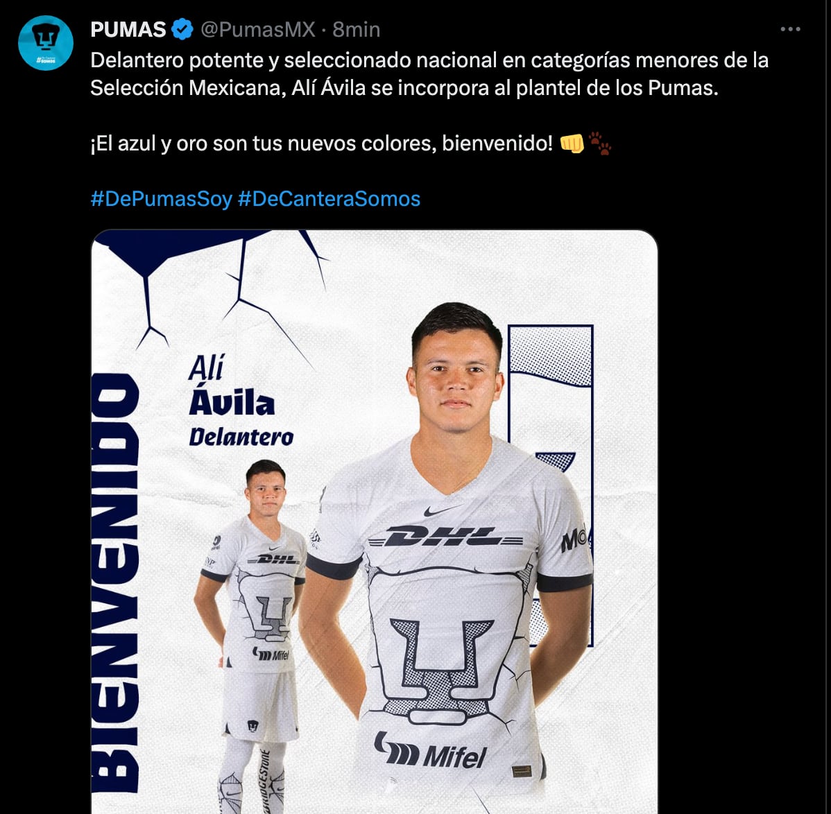 Alí Ávila llega a Pumas