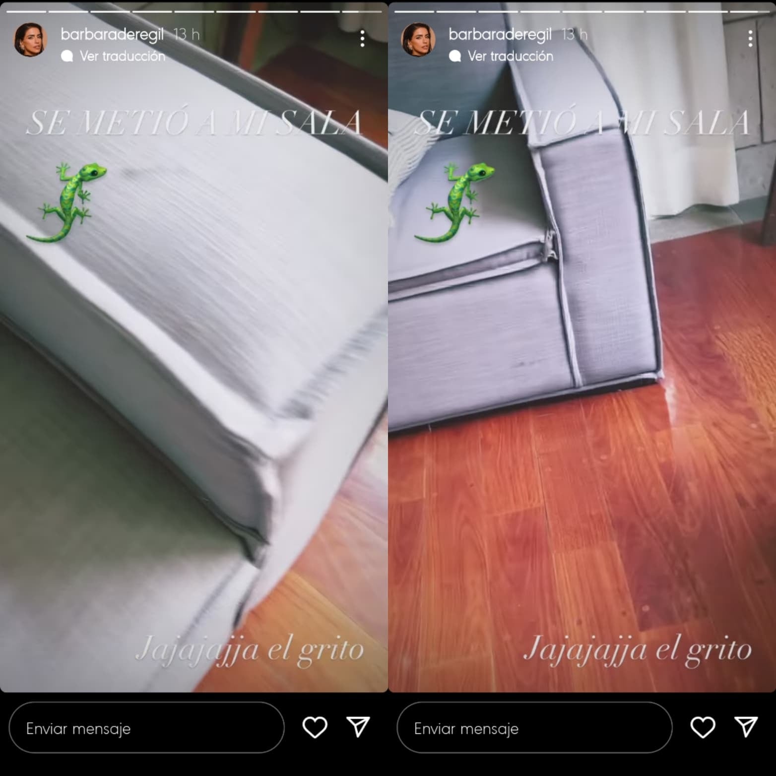 Bárbara de Regil se espanta por lagartija.