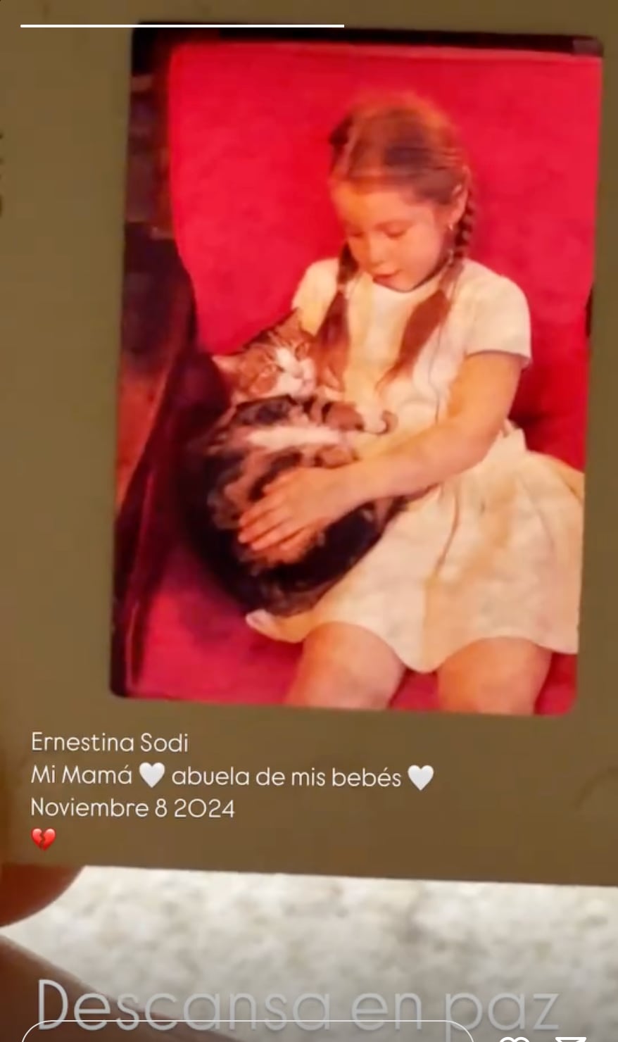 Ernestina Sodi, mamá de Camila Sodi murió a los 64 años de edad