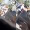 VIDEO: Lady DEA es detenida en Piedras Negras y por fin le ponen un alto