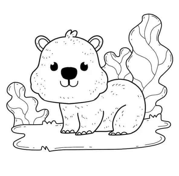 Dibujo Wombat Día Internacional del Wombat