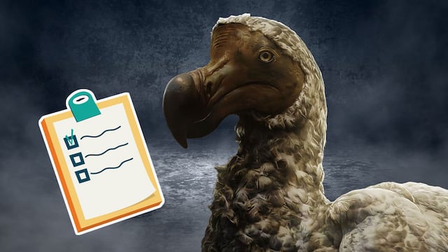 Lista de animales que podrían regresar a la vida