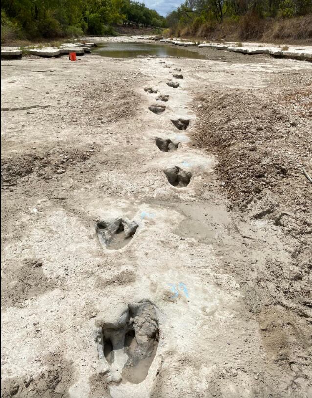 Huellas de dinosaurios en Texas