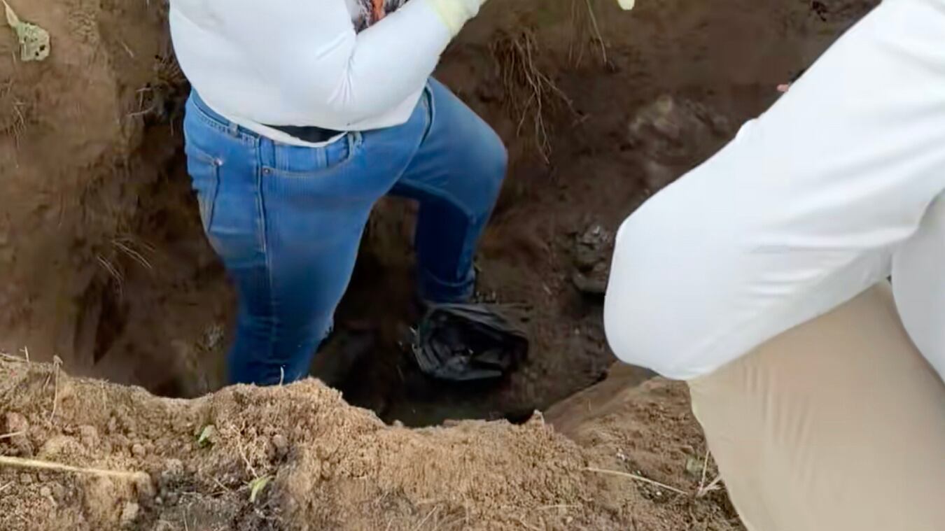 “¿Cuántos hijos caben en 89 bolsas?”: hallazgos de restos en Zapopan por Colectivo Manos Buscadoras