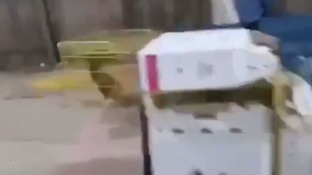 Ataque en palenque de Petatlán, Guerrero