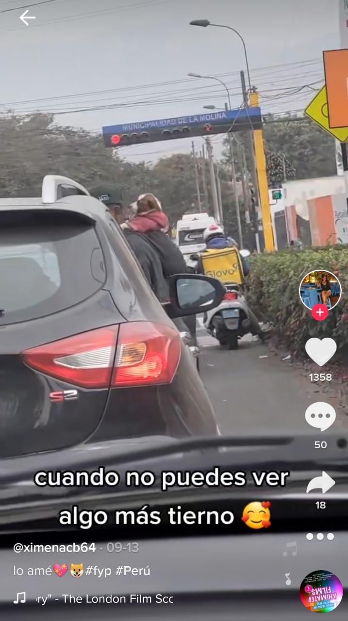 Joven carga a su perrito
