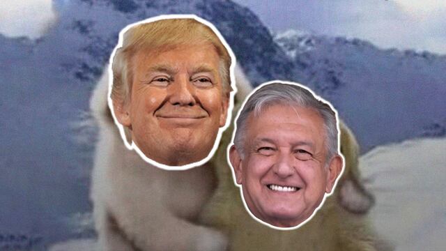 ¿AMLO y Donald Trump amigos?