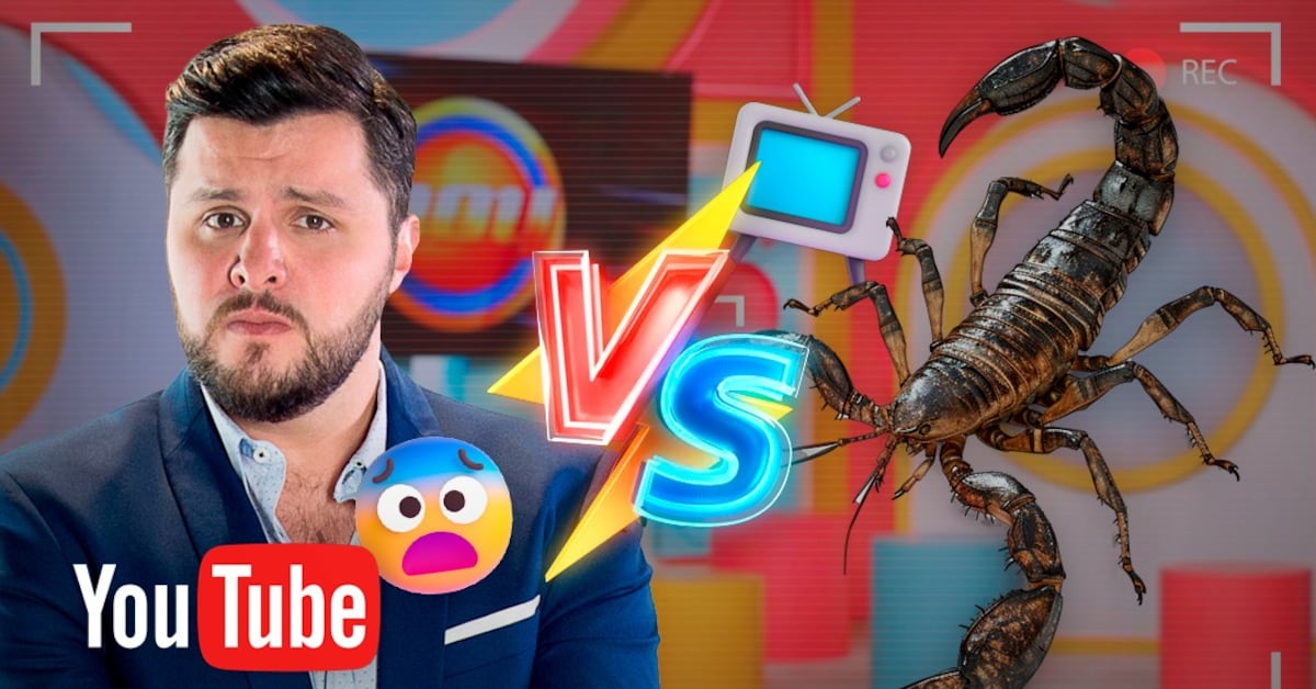 Paul Stanley sale corriendo por culpa de un escorpión en vivo en el ...