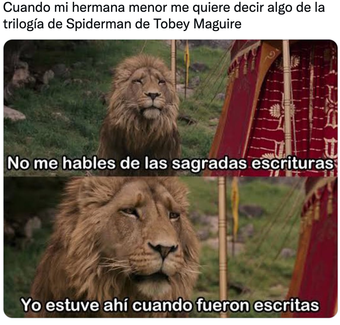 Reacciones al tráiler de 'Spider-Man: No Way Home'