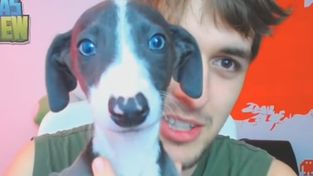 Dalas Review gana juicio y recuperará a su perro Argos