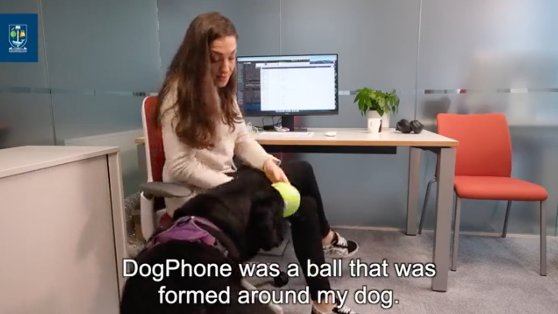 Así funciona el 'teléfono para perros'