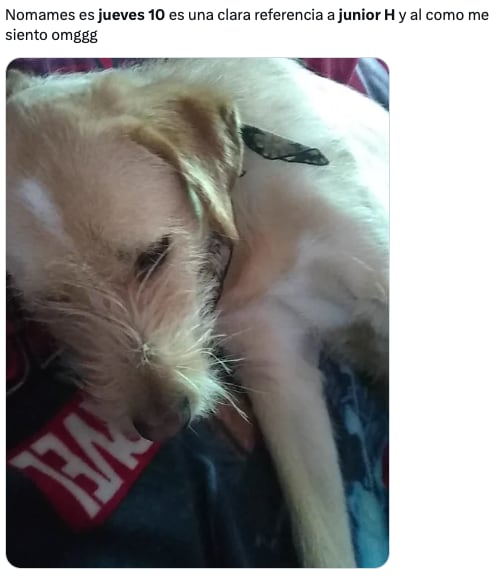 Memes de Jueves 10 de Junior H