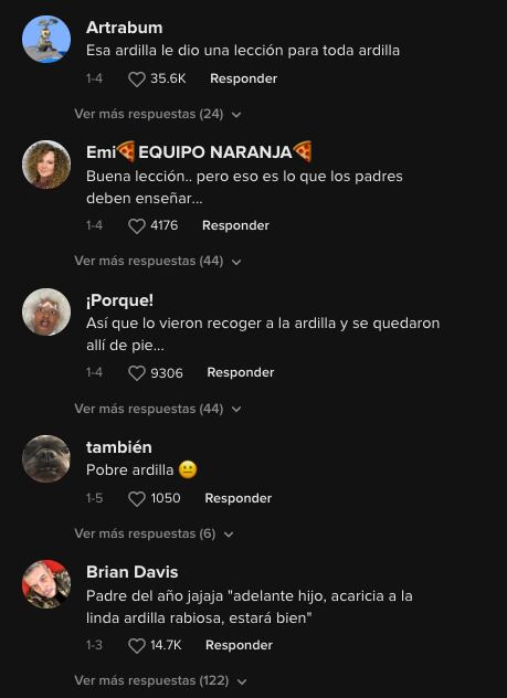 Usuarios de TikTok cuestionan a los padres del niño por dejarlo tocar una ardilla