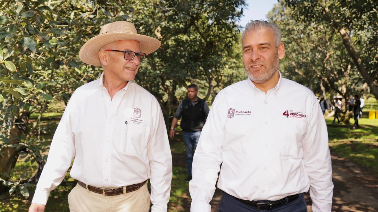 Alfredo Ramírez Bedolla busca proteger el aguacate michoacano ante el IMPI