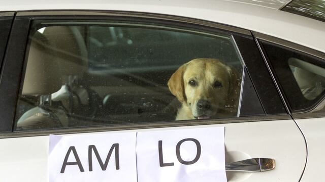 Manifestante contra AMLO