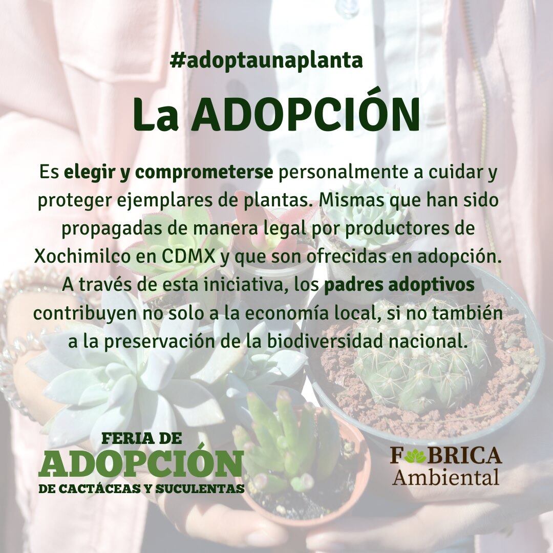 Adoptando, ayudas a conservar la biodiversidad