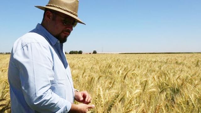 Así apoya Grupo Bimbo a los pequeños productores del campo mexicano