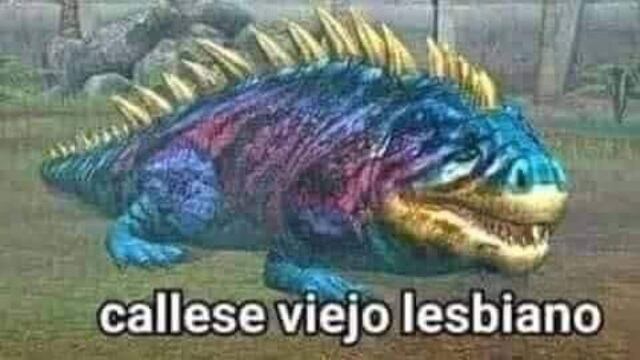 Callese viejo lesbiano